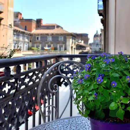 Bellini Deluxe Catania